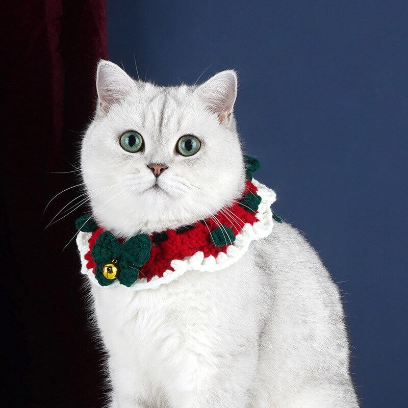 Cat with Crochet Christmas Cat Collar