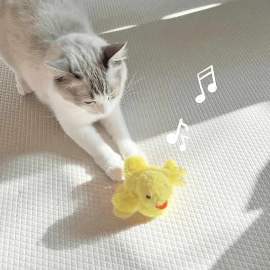 Squeaky the Dancing Duck Cat Toy - Petites Paws