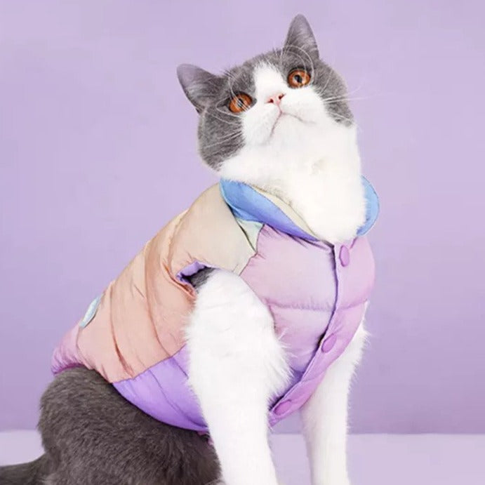 Cat in pastel puffer winter jacket for cats