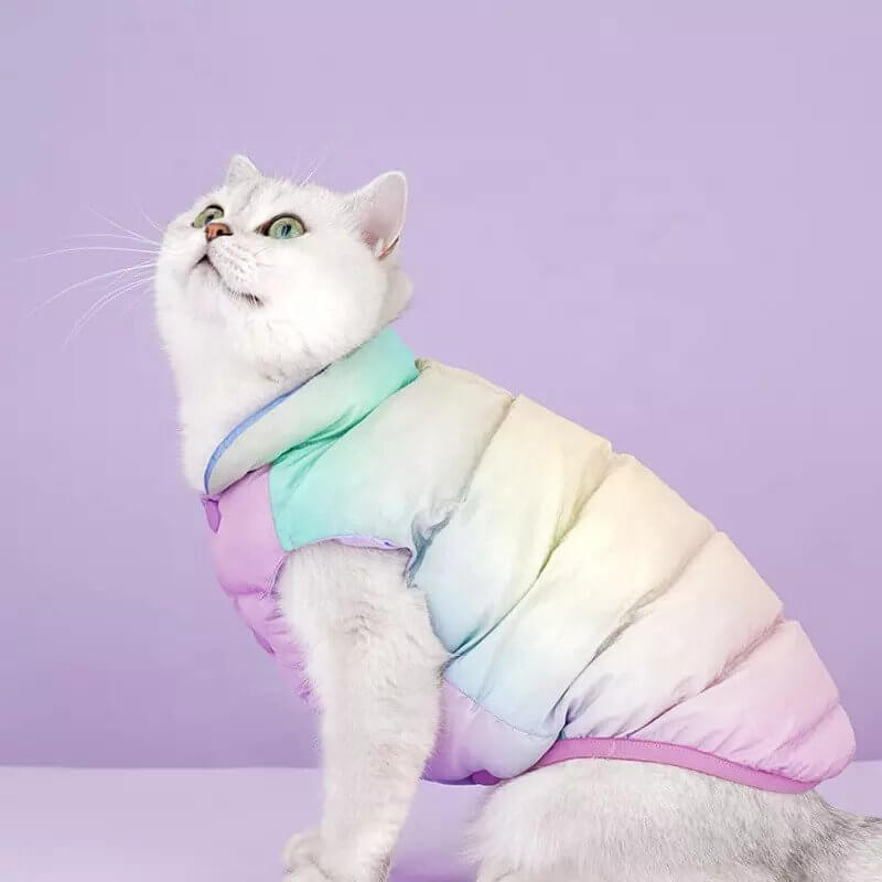 Cat in pastel puffer winter jacket for cats