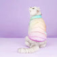 Cat in pastel puffer winter jacket for cats
