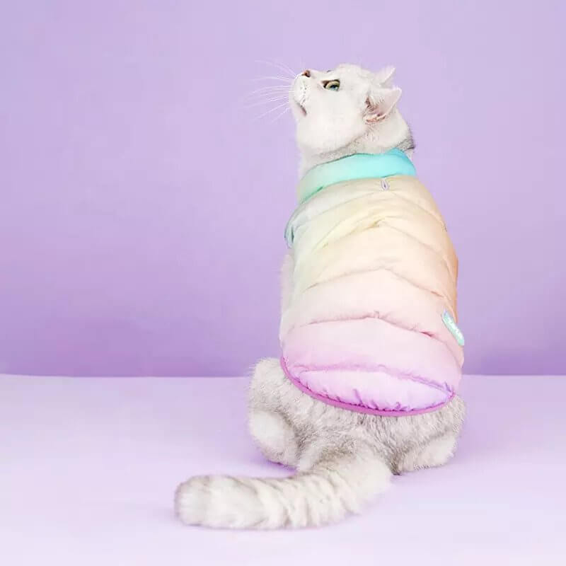 Cat in pastel puffer winter jacket for cats