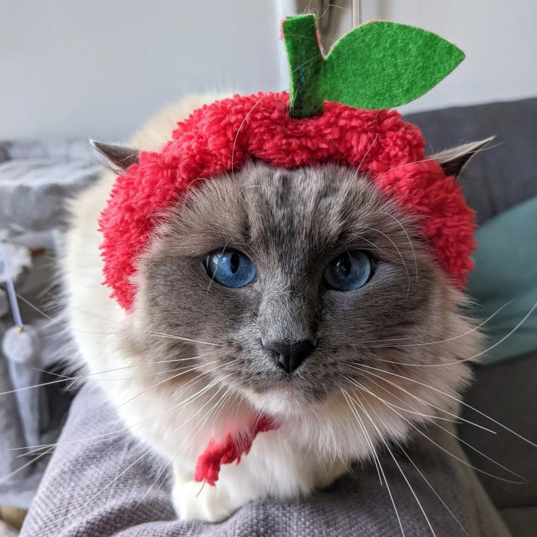 Apple Cat Costume