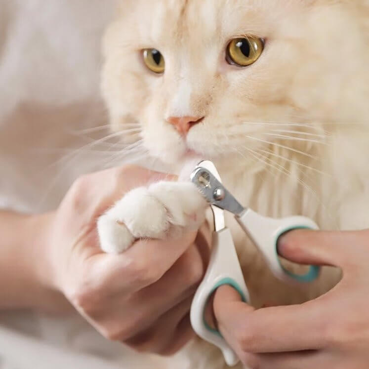 Guillotine Cat Nail Clipper with Hole Safe Guard