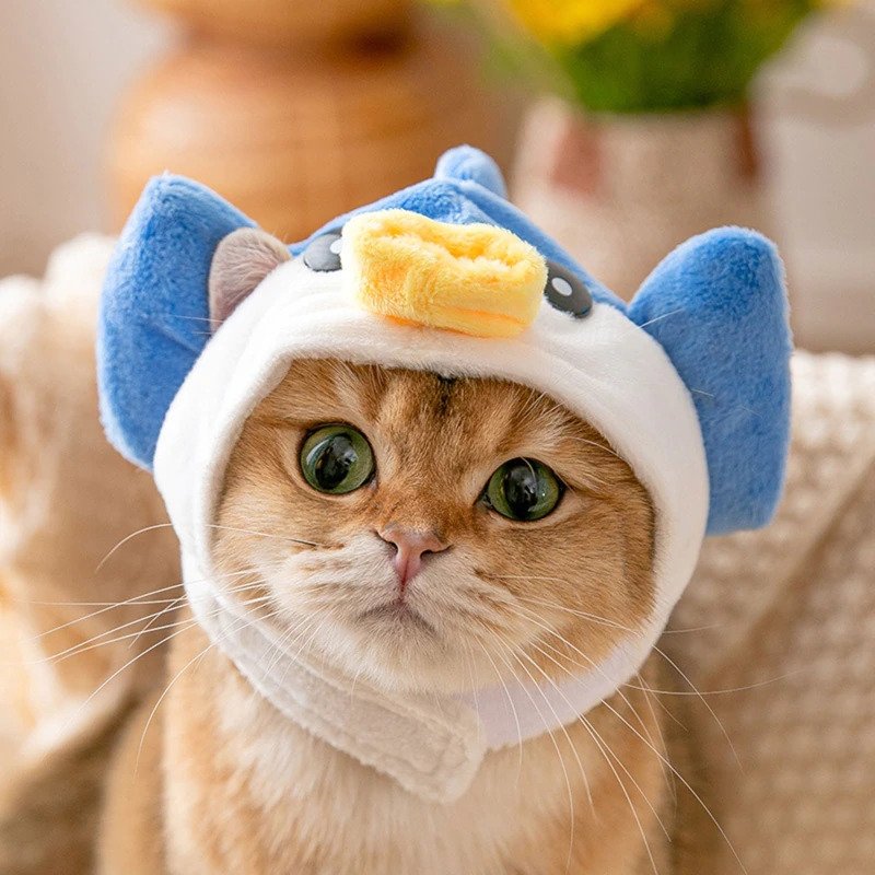 Fish Cat Costume