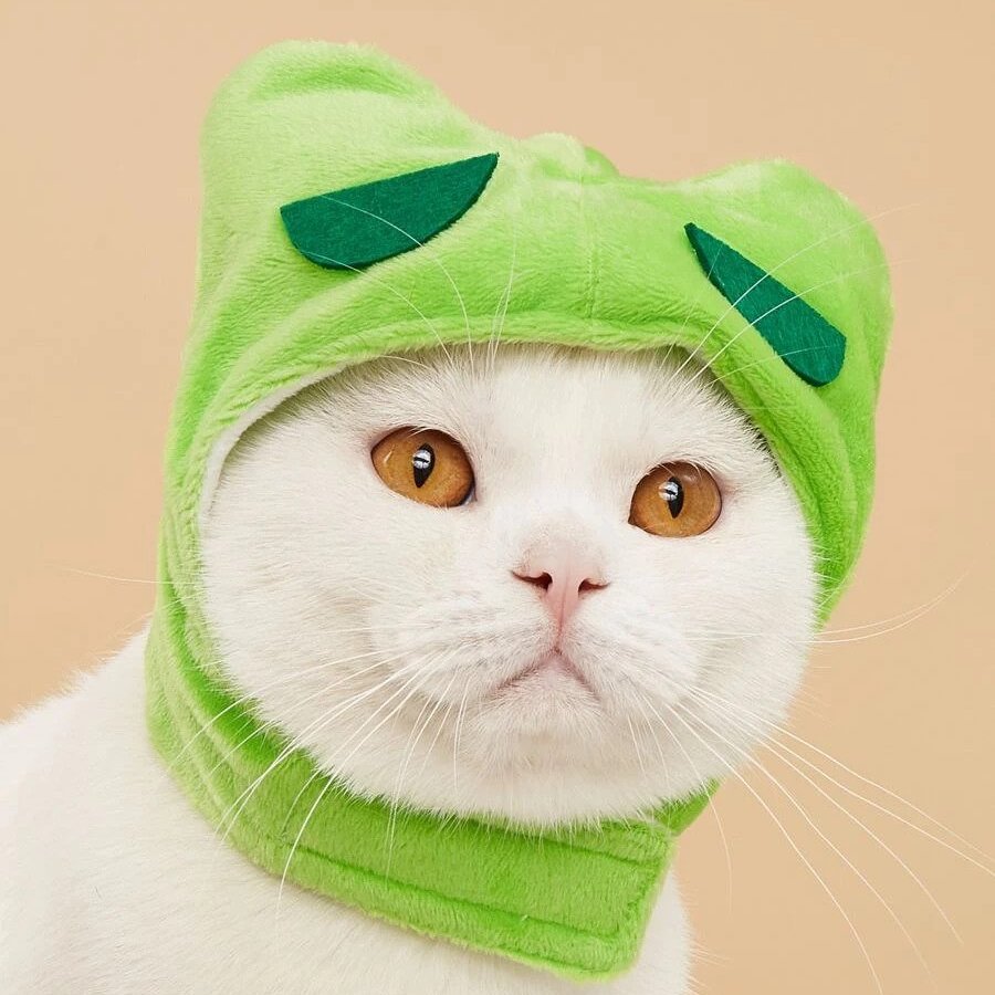 Frog Cat Costume