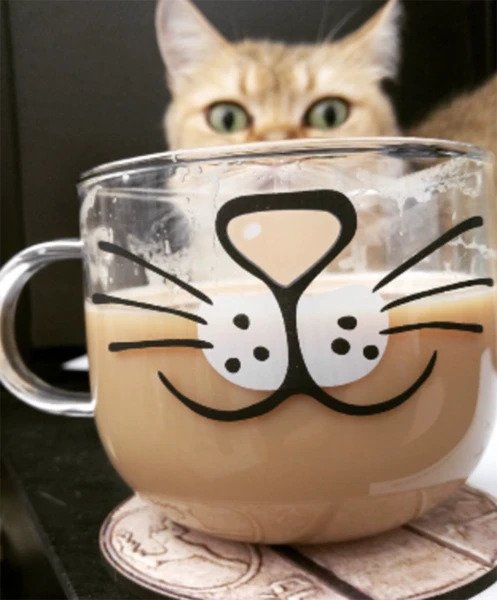 Cute Cat Face Mug - Petites Paws