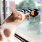 Window Mounted Track Ball Cat Toy