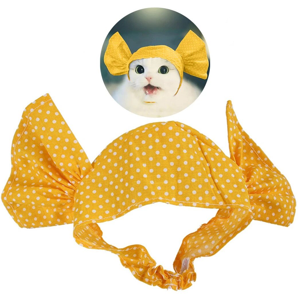 Sweet Candy Cat Costume - Petites Paws