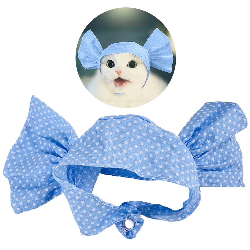 Sweet Candy Cat Costume - Petites Paws