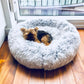 Marshmallow Pet Bed with Ultra Soft Plush - Petites Paws