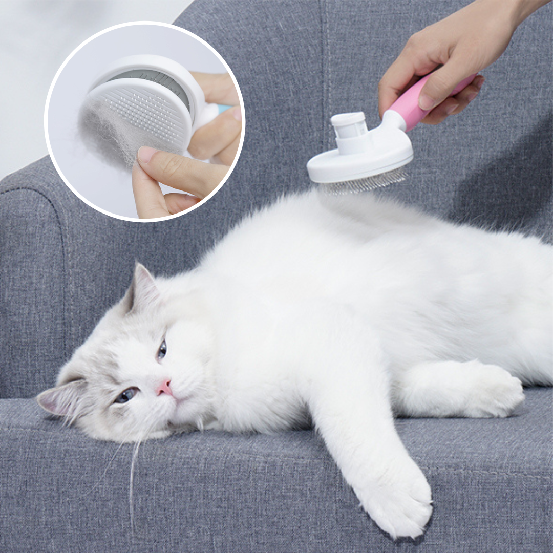 Self-Cleaning Professional Pet Brush