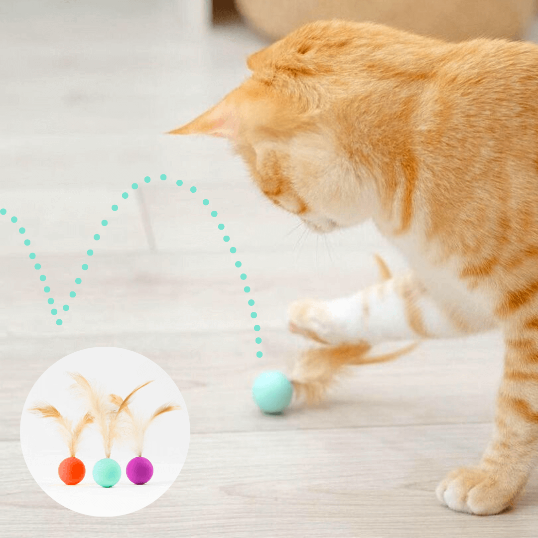 Cat playing bouncy Ball Cat Toy