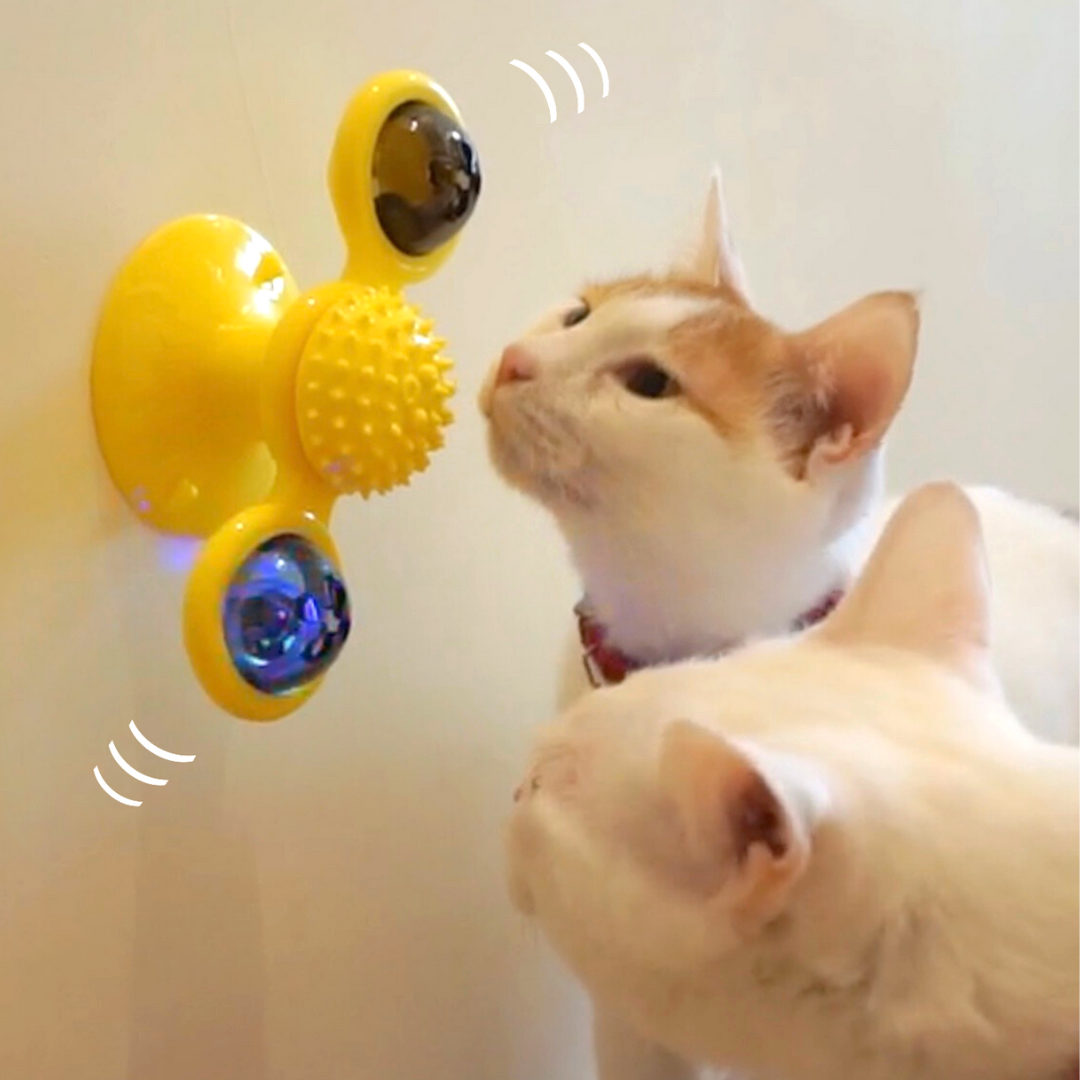 Cat Fidget Spinner