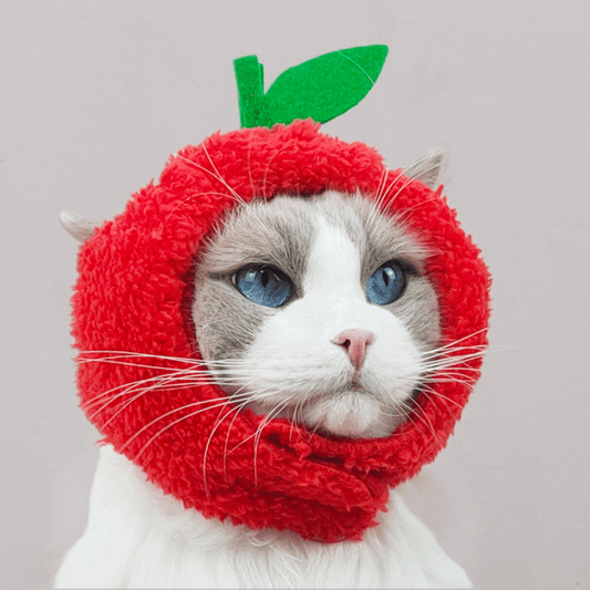 Apple Cat Costume