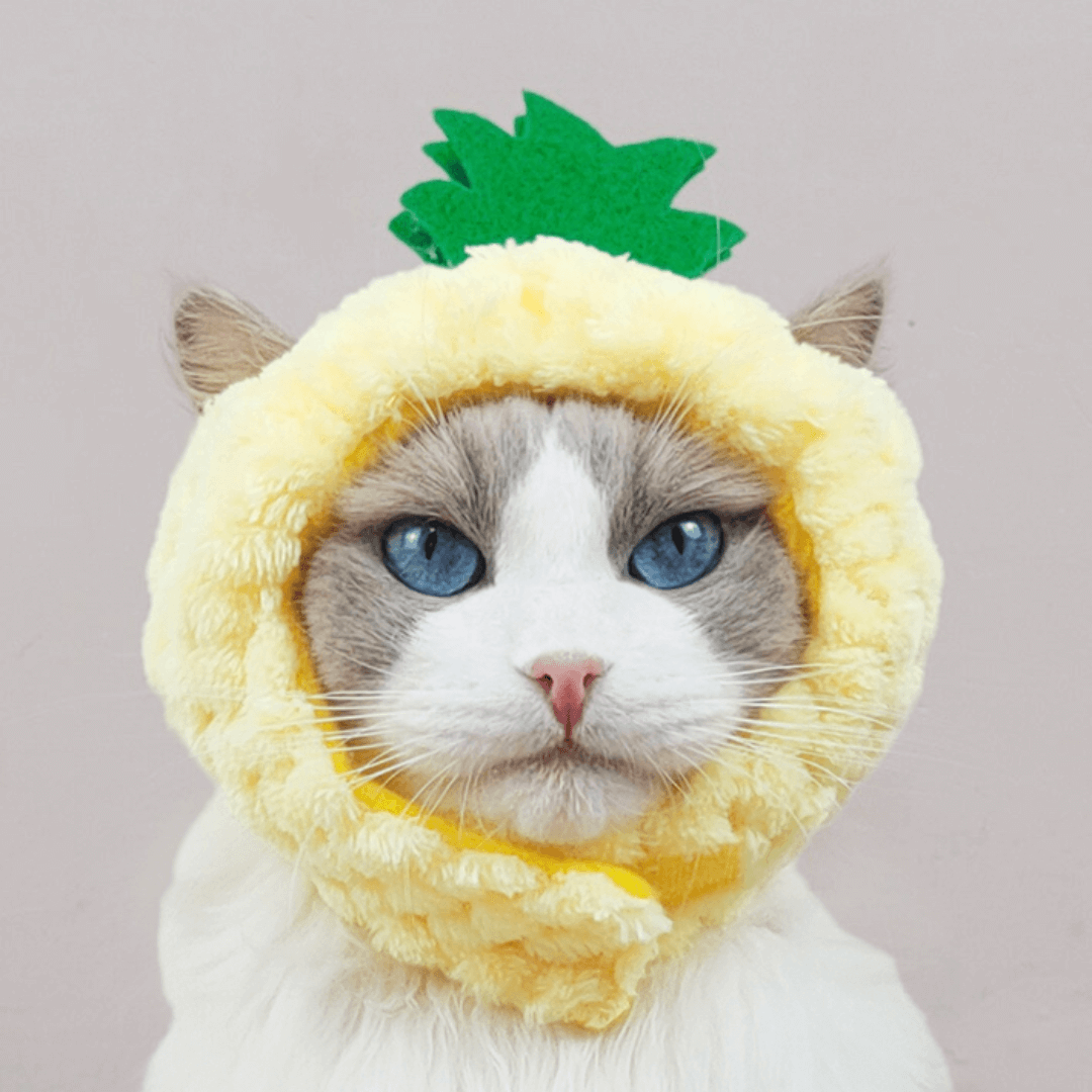 Pineapple Cat Costume