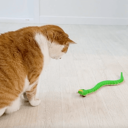 Cats playing with a Lifelike remote control Moving Snake Cat Toy