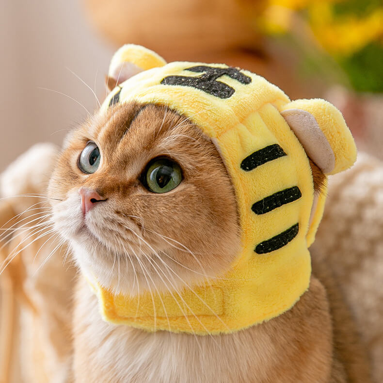 Tiger Cat Costume