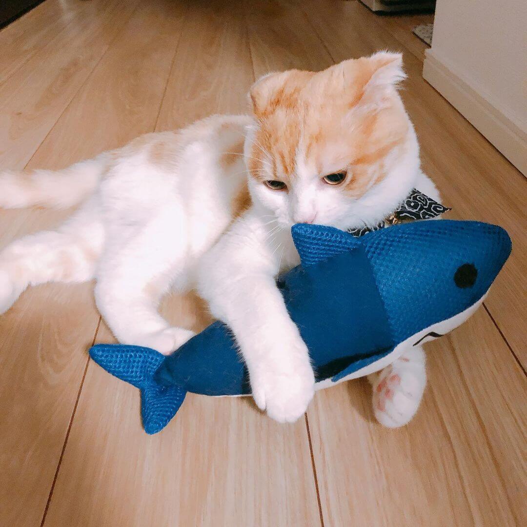 Petio Japanese Cat Kicker Toy with Catnip (Shark)