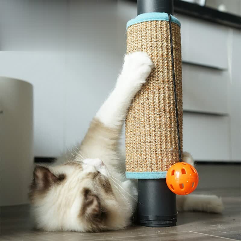 Foldable Cat Scratch with Sisal/Loop Carpet